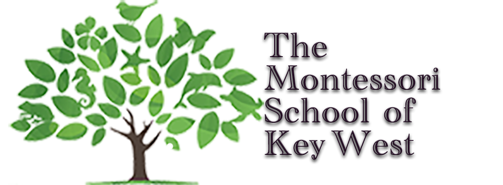 Montessori Children's School of Key West